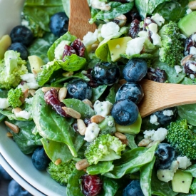 Blueberry-broccoli-spinach-salad-poppyseed-ranch-dressing-recipe-7143