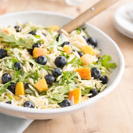 Blueberry-peach-orzo-salad-for-website