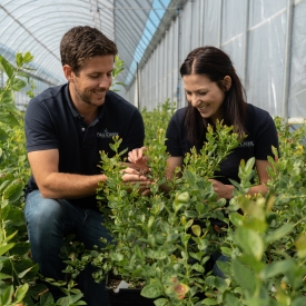 Fall creek south africa dane castle (left) elsa muller - sales and grower support reps inspecting plants c2020 all rights reserved