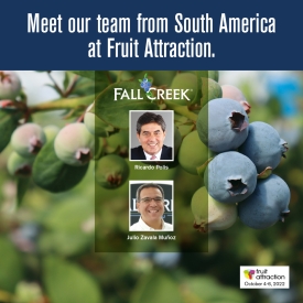 Fcemena fruitattraction post4 update